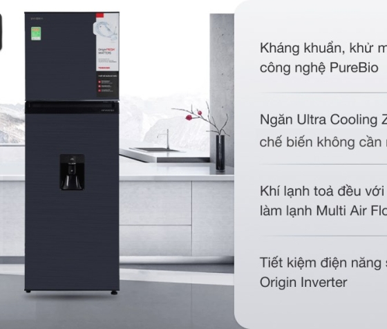 Tủ lạnh Toshiba Inverter 249 lít RT325WE