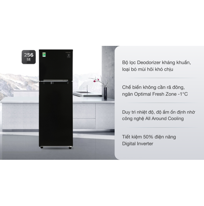 Tủ lạnh Samsung Inverter 256 lít RT25M4032BU/SV